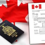 n688003244176243670301303cd6b3d01fc2679d09a7ce06abba8804dcb855574edb3ec59aaac6118503ac2